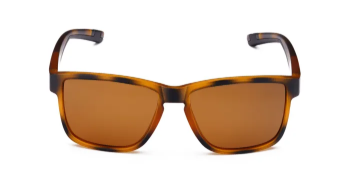 LENTES PAYLE Draco TSW