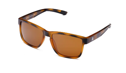 LENTES PAYLE Draco TSW