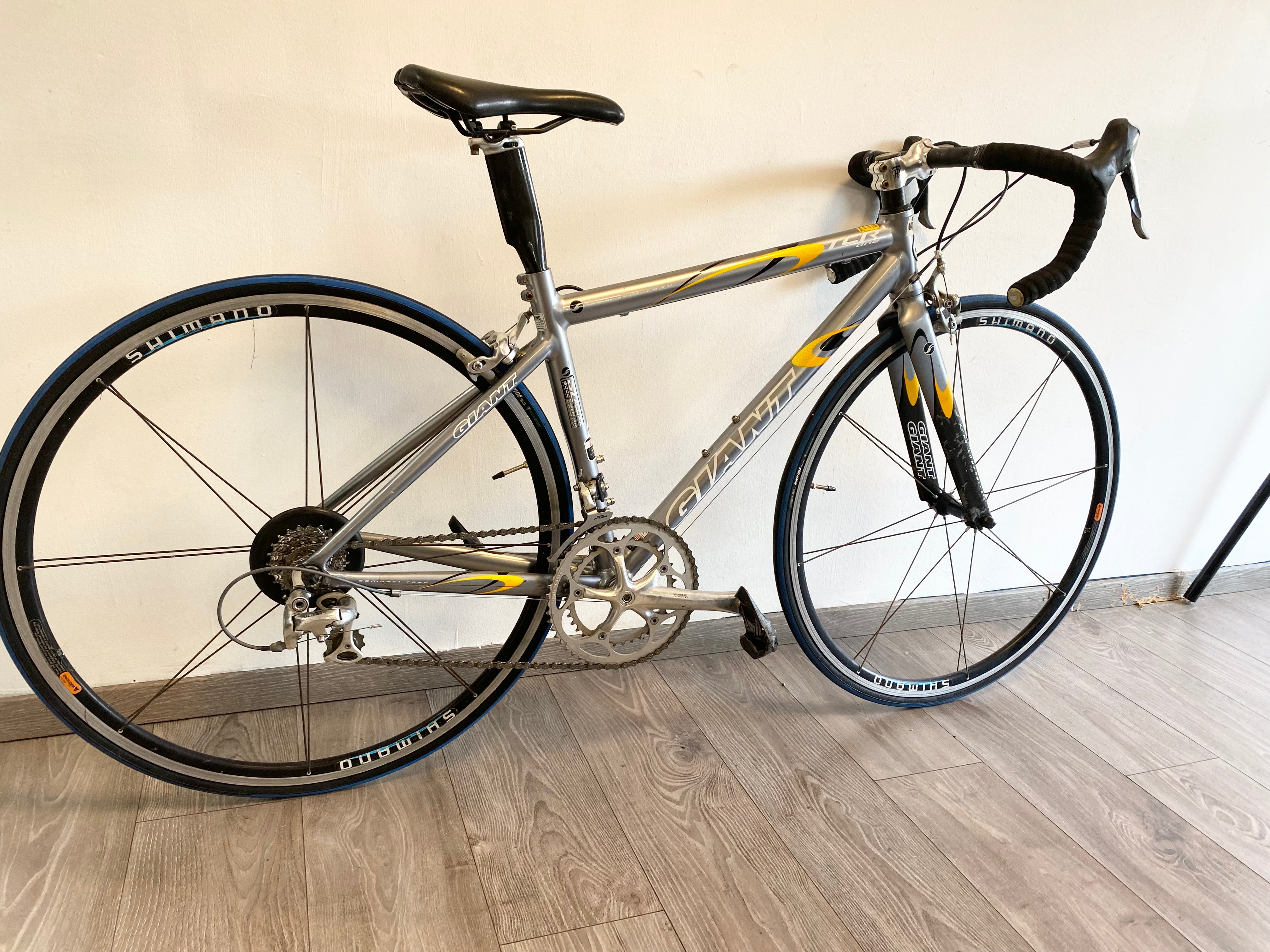 GIANT TCR 1