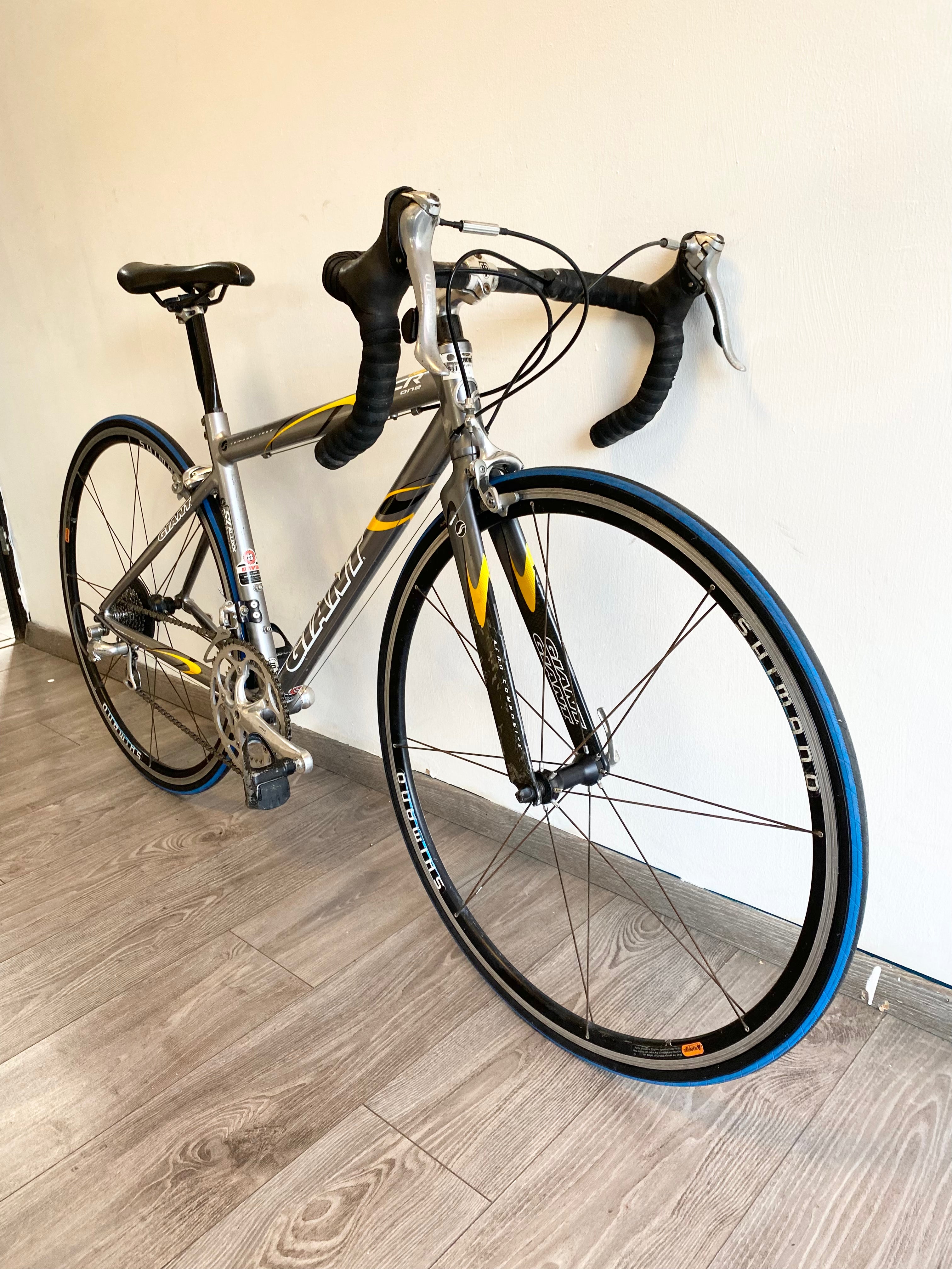 GIANT TCR 1