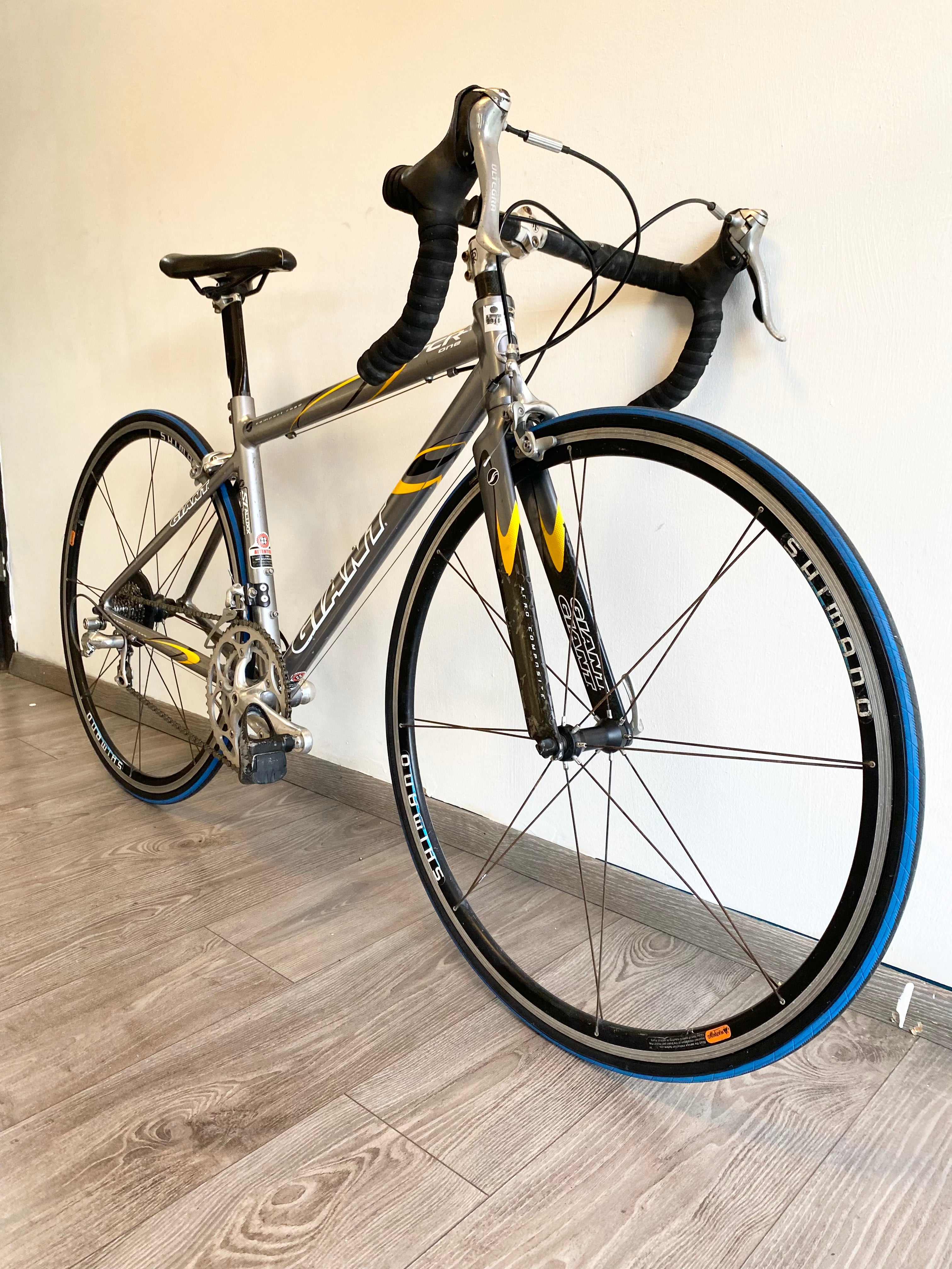 GIANT TCR 1