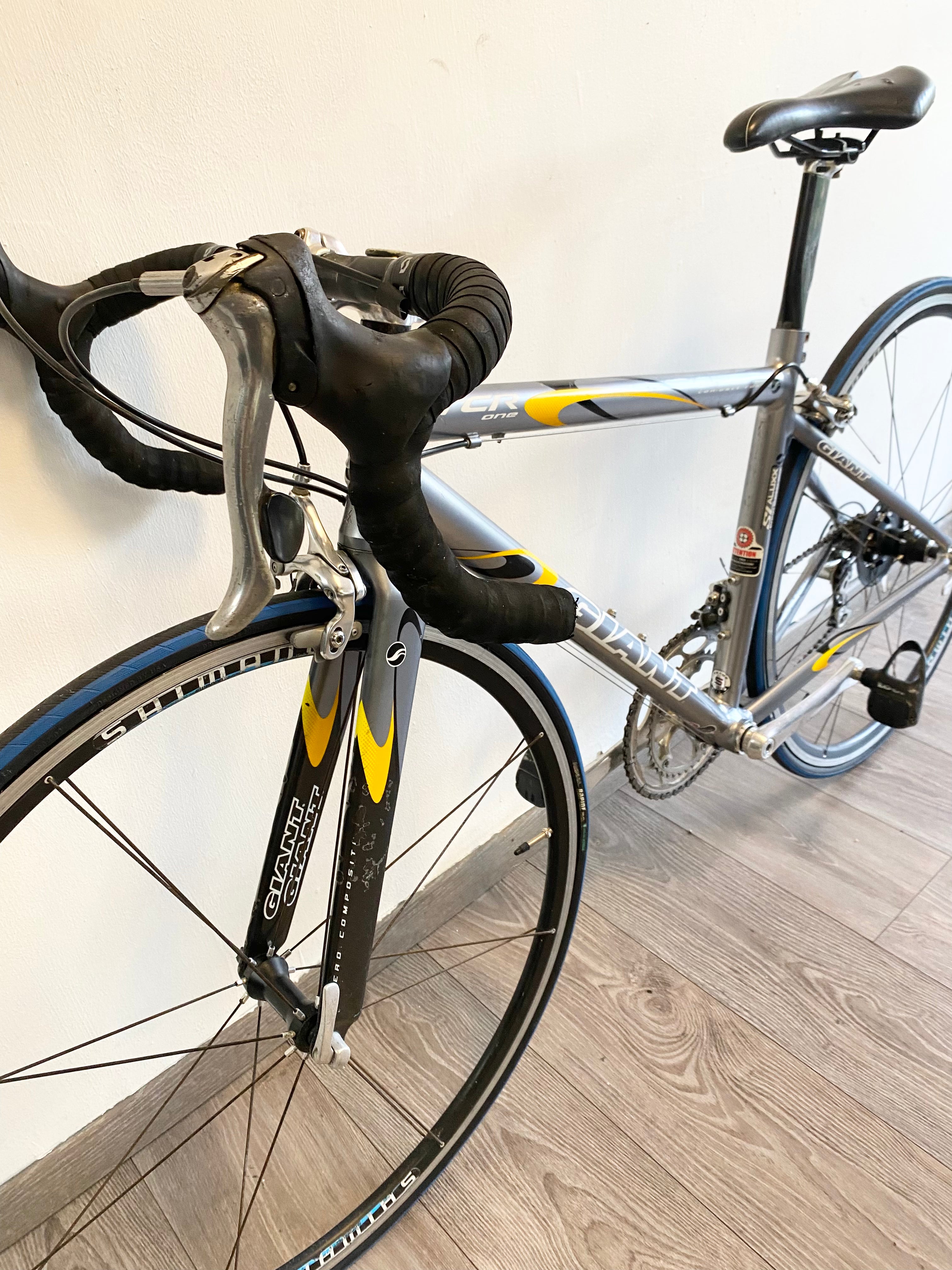 GIANT TCR 1