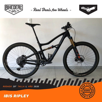 Ibis Ripley