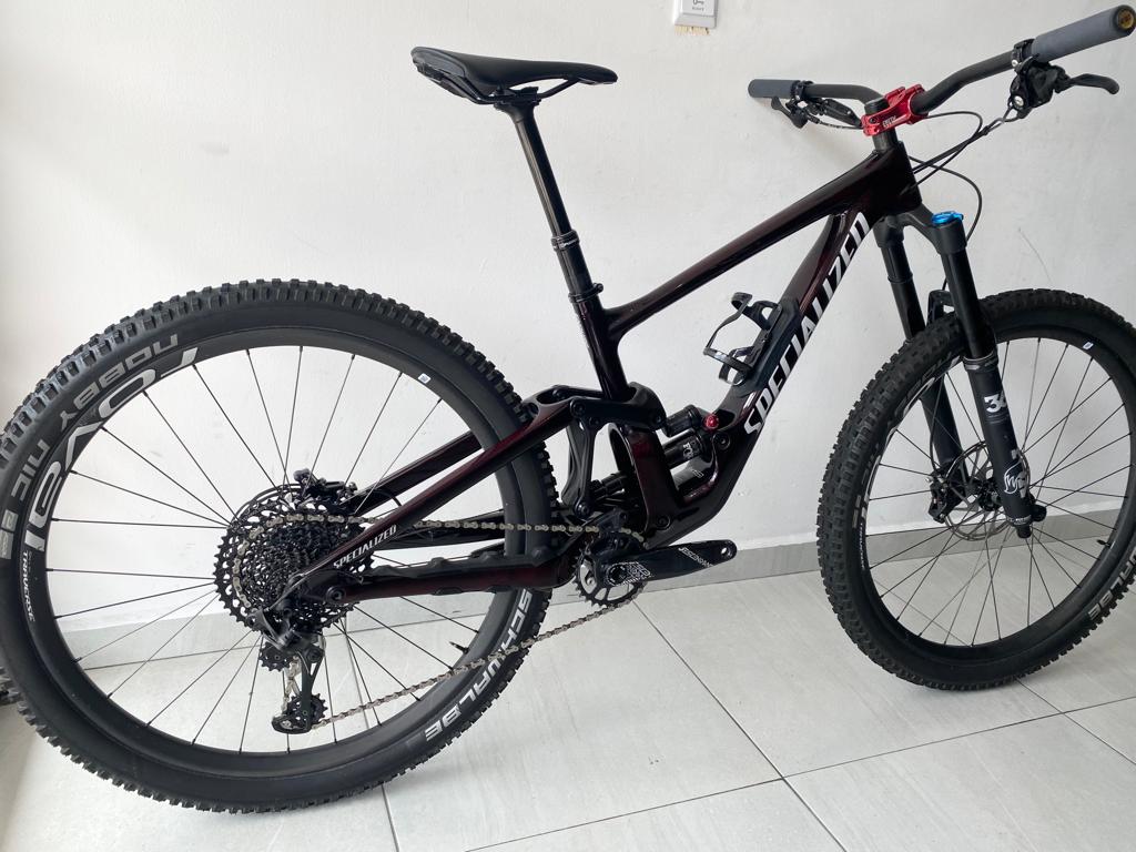 Specialized Enduro Expert Carbon