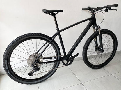 Trek Dual Sport 4